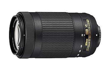Amazon Canada: NIKON D5600 2 Lens kit (D5600 Body + AF-P 18